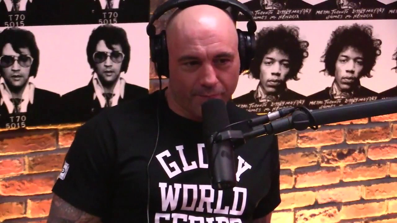 Joe Rogan asks Dan Peña "How does the UFC make it's money back?"