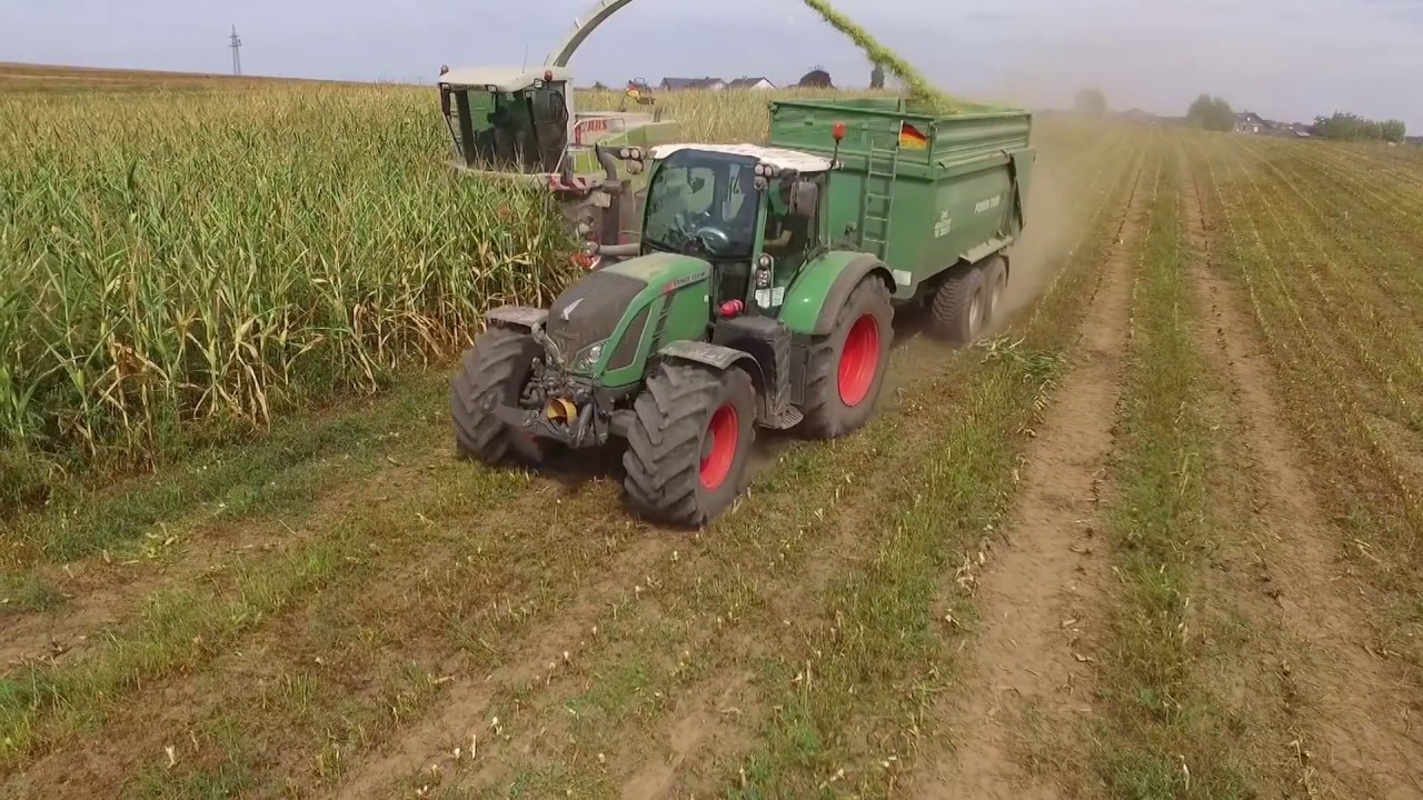 Maishäckseln 2k16 für die Biogasanlage Lehnen 1/2 | Langenfelder Agrarvideos