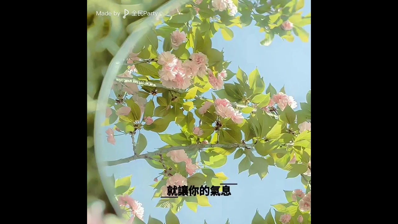 花與蝴蝶之小夜曲#回憶 #創作 