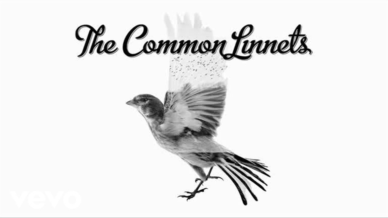 The Common Linnets - Before Complete Surrender (audio only)