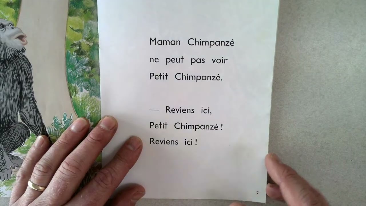 Petit Chimpanzé court