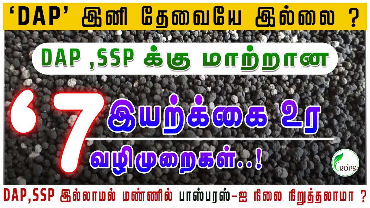 DAP மற்றும் SSP-க்கு  மாற்றான 7  இயற்கை உரங்கள் | Alternative For DAP & SSP | The Crops Garden