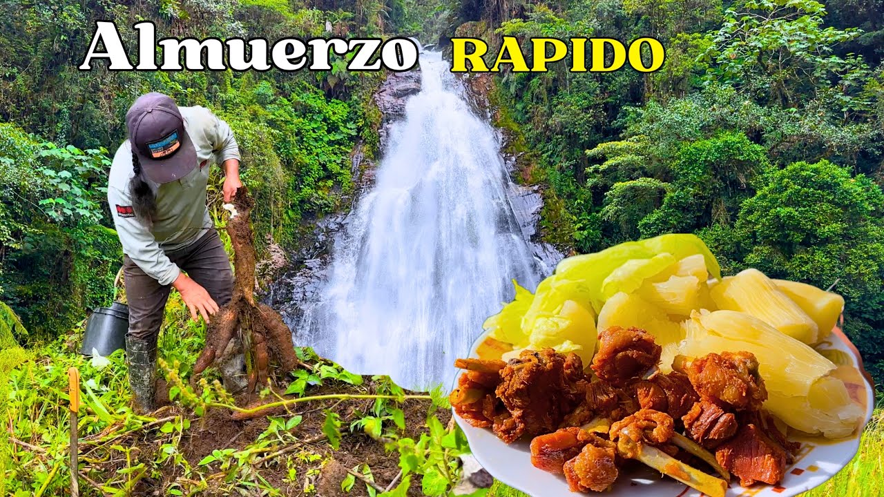 Delicioso POLLO CON YUCA para mi familia en el campo - DON PEDRITO