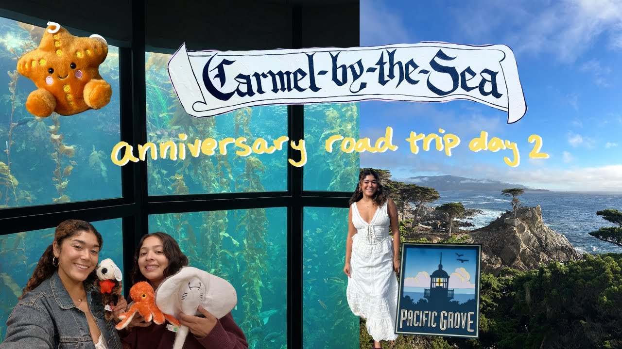 Monterey Bay Aquarium & exploring coastal California! 🌊 🦦 🐠 🪼🌿 anniversary road trip day 2