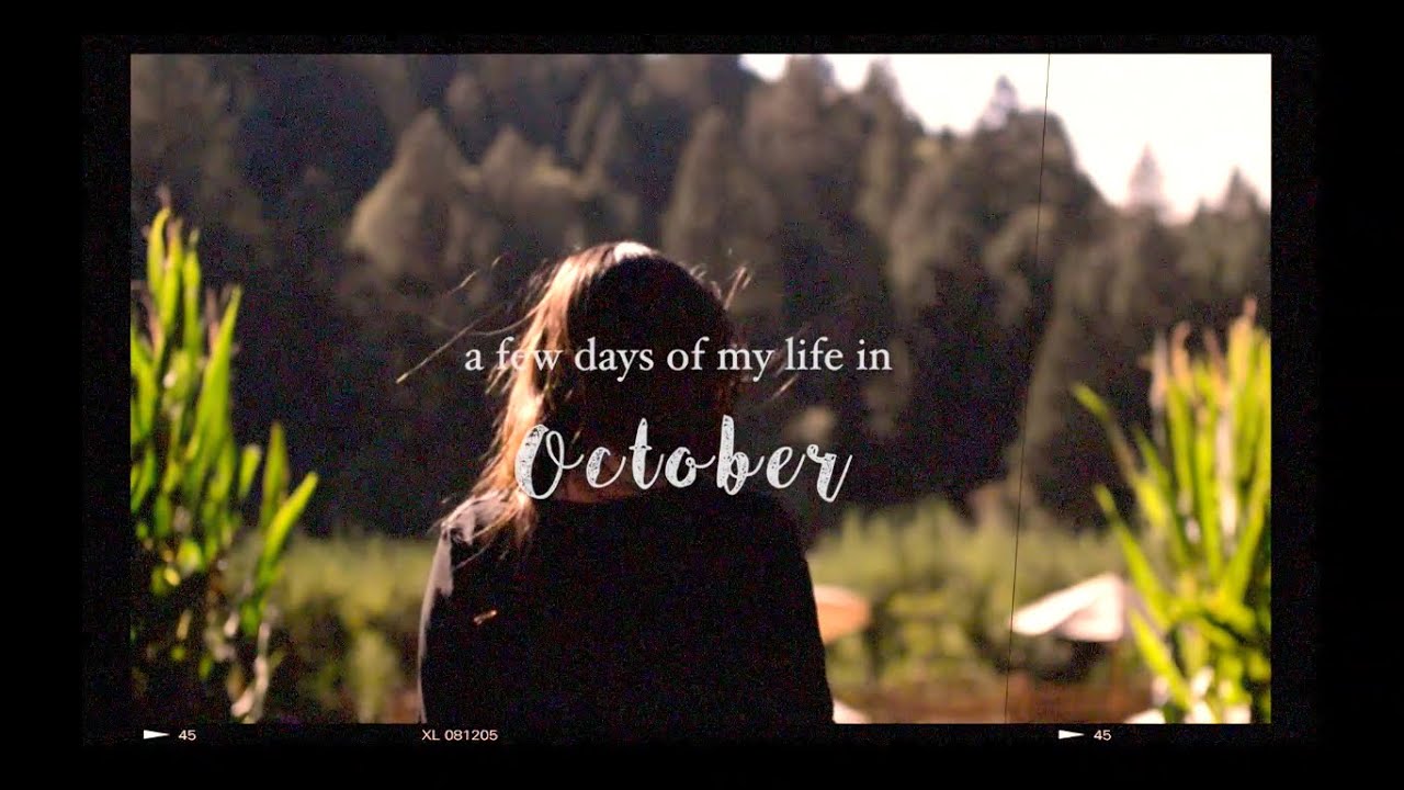 A Few Days in October - NorCal Vlog