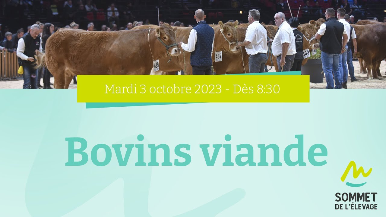 Sommet de l'élevage 2023 - Bovins viande - 03/10/2023