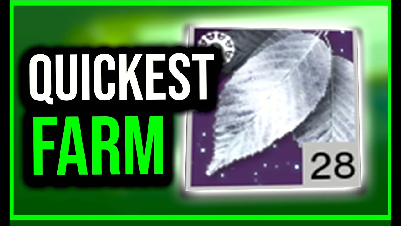 SILVER LEAVES EASY FARM GUIDE | Destiny 2 Solstice Event 2022