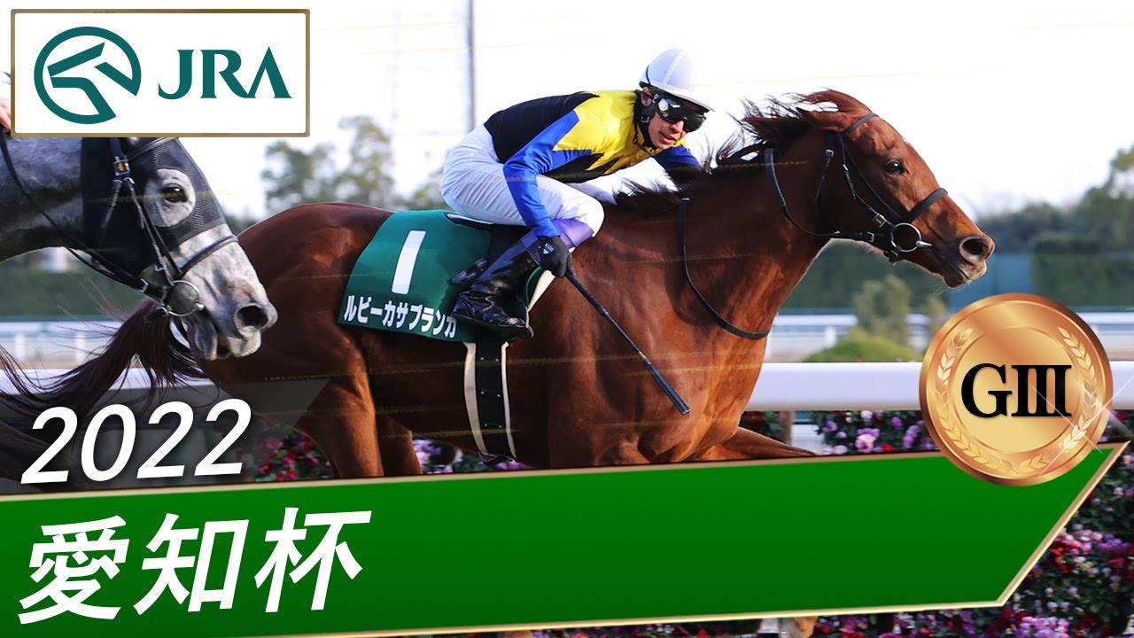 2022年 愛知杯（GⅢ） | ルビーカサブランカ | JRA公式