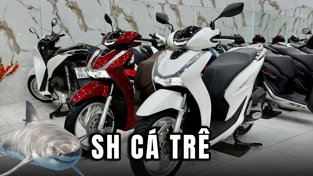 02 MẪU SH CÁ TRÊ 4 VALVE RẺ DỄ MUA
