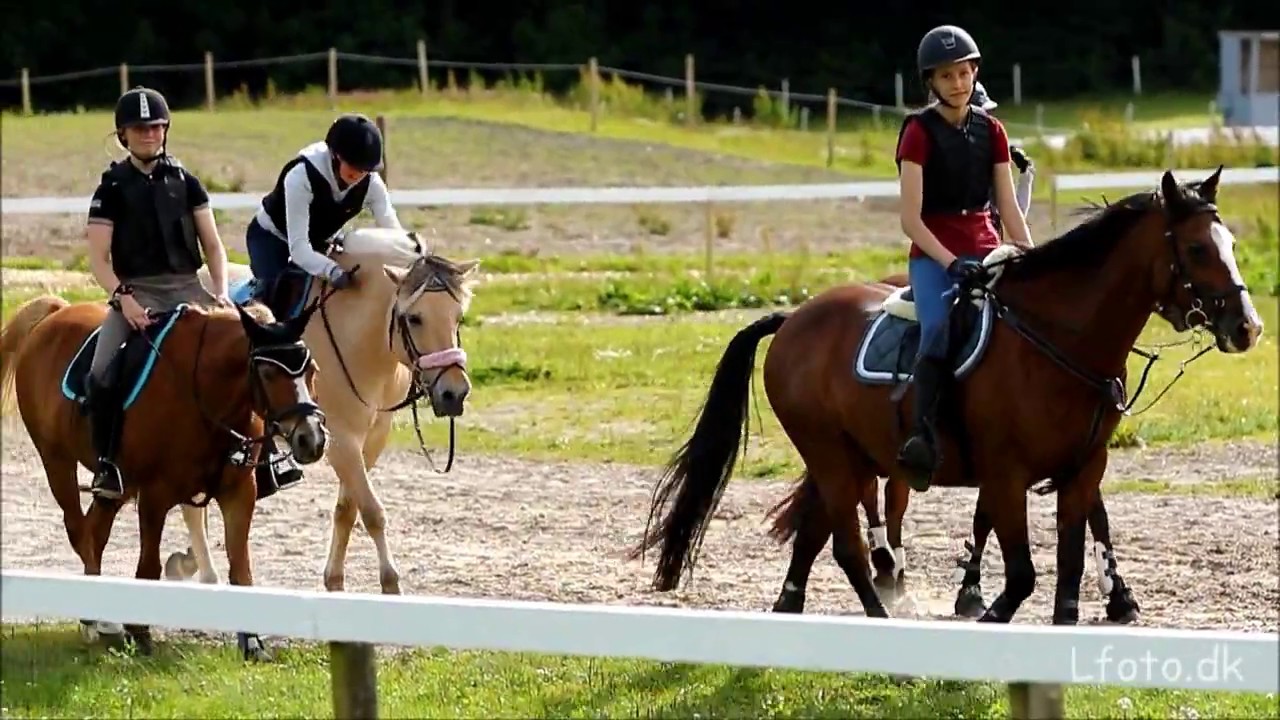 Rytterlejr Mors&oslash; rideklub 2017