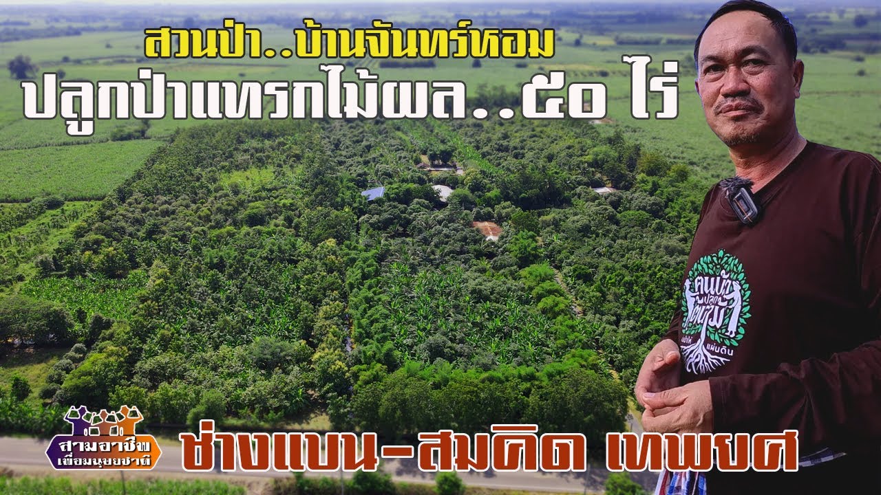 ติดตามสวนป่า..บ้านจันทร์หอม 
