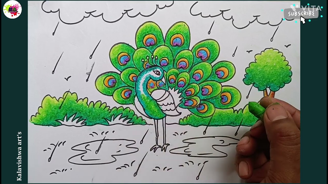 Rainy season peacock drawing/peacock drawing/dancing peacock drawing/Rainy day season drawing/पाऊस