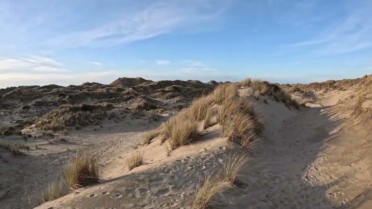 To The Beach! Meditative Hike Through Oregon Sand Dunes