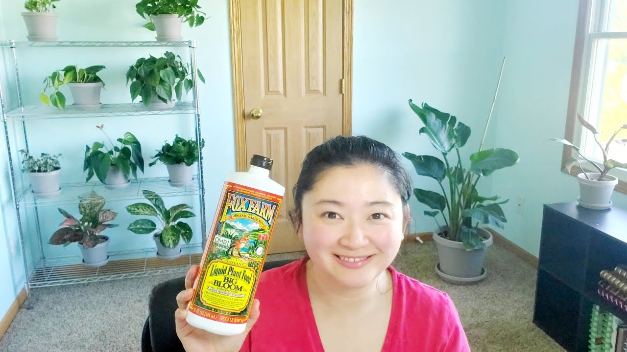 Обзор жидкого удобрения для растений FoxFarm Big Bloom | Не спонсируется