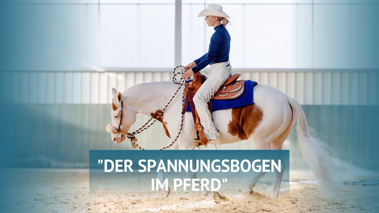 Der Spannungsbogen im Pferd