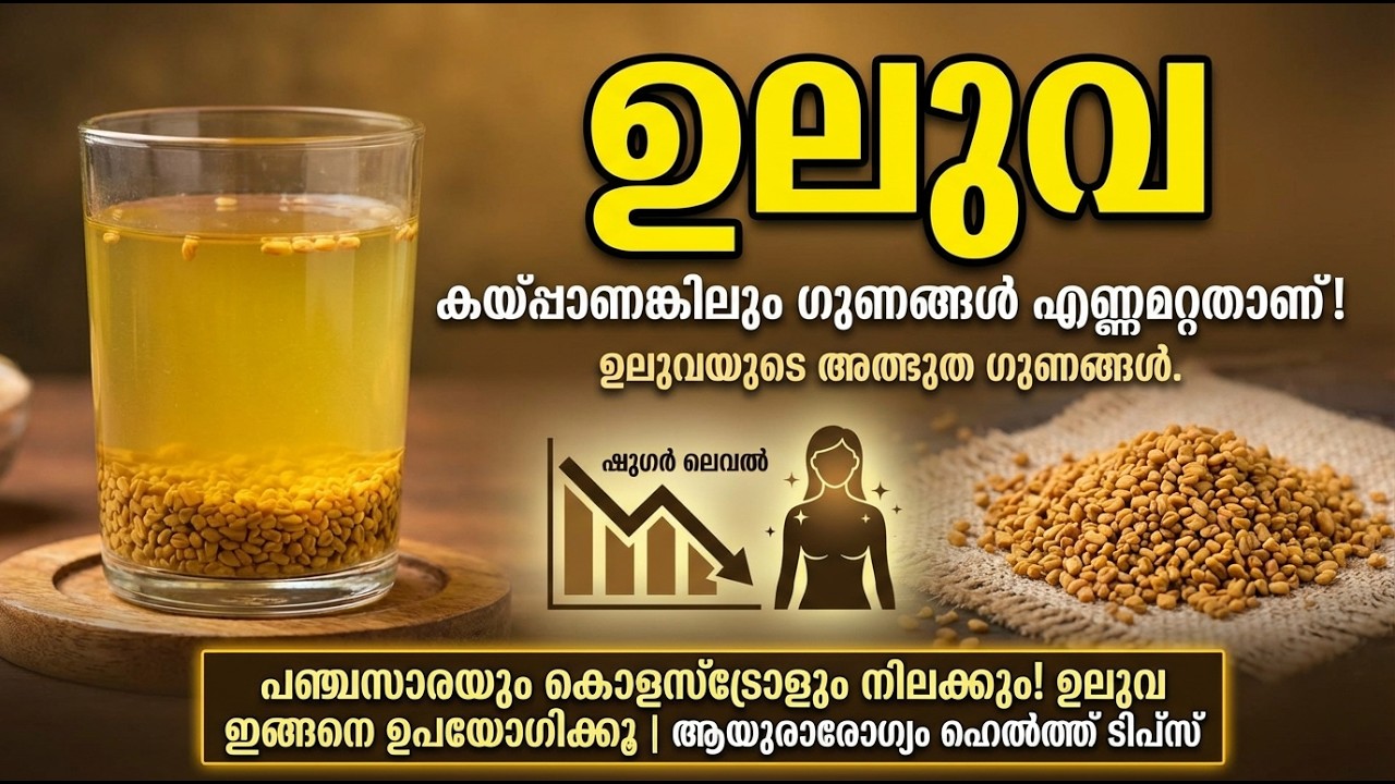 വെറും വയറ്റിൽ ഉലുവ വെള്ളം കുടിച്ചാൽ സംഭവിക്കുന്നത്! | Benefits of Fenugreek Water