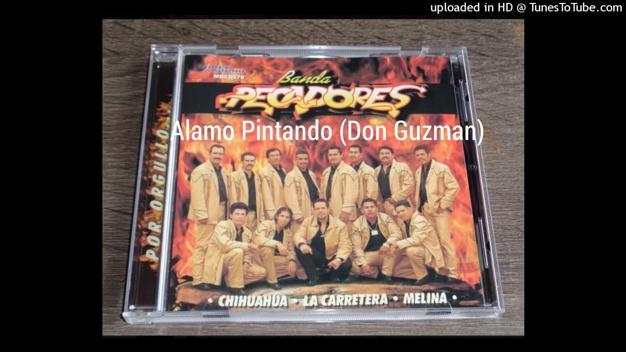 07. Banda Pecadores - Despeinada