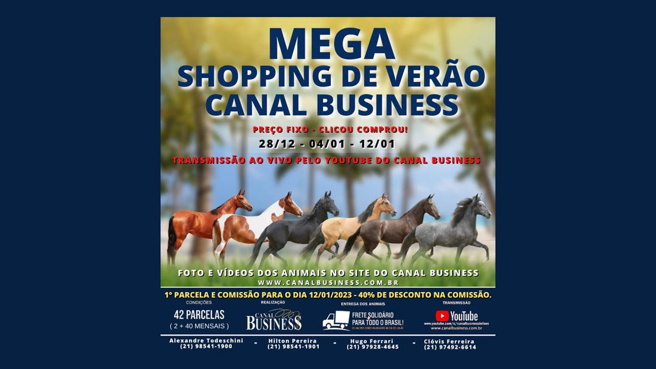 MEGA SHOPPING DE VERÃO CANAL BUSINESS