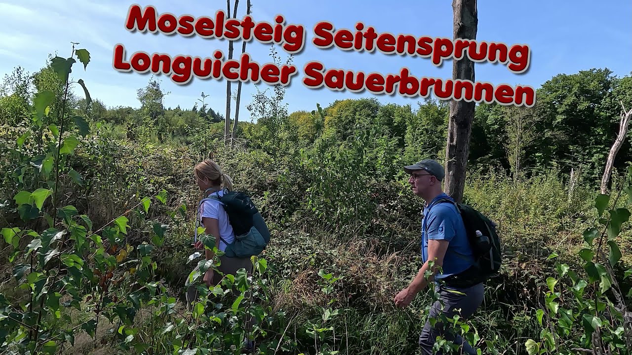 Moselsteig Seitensprung Longuicher Sauerbrunnen