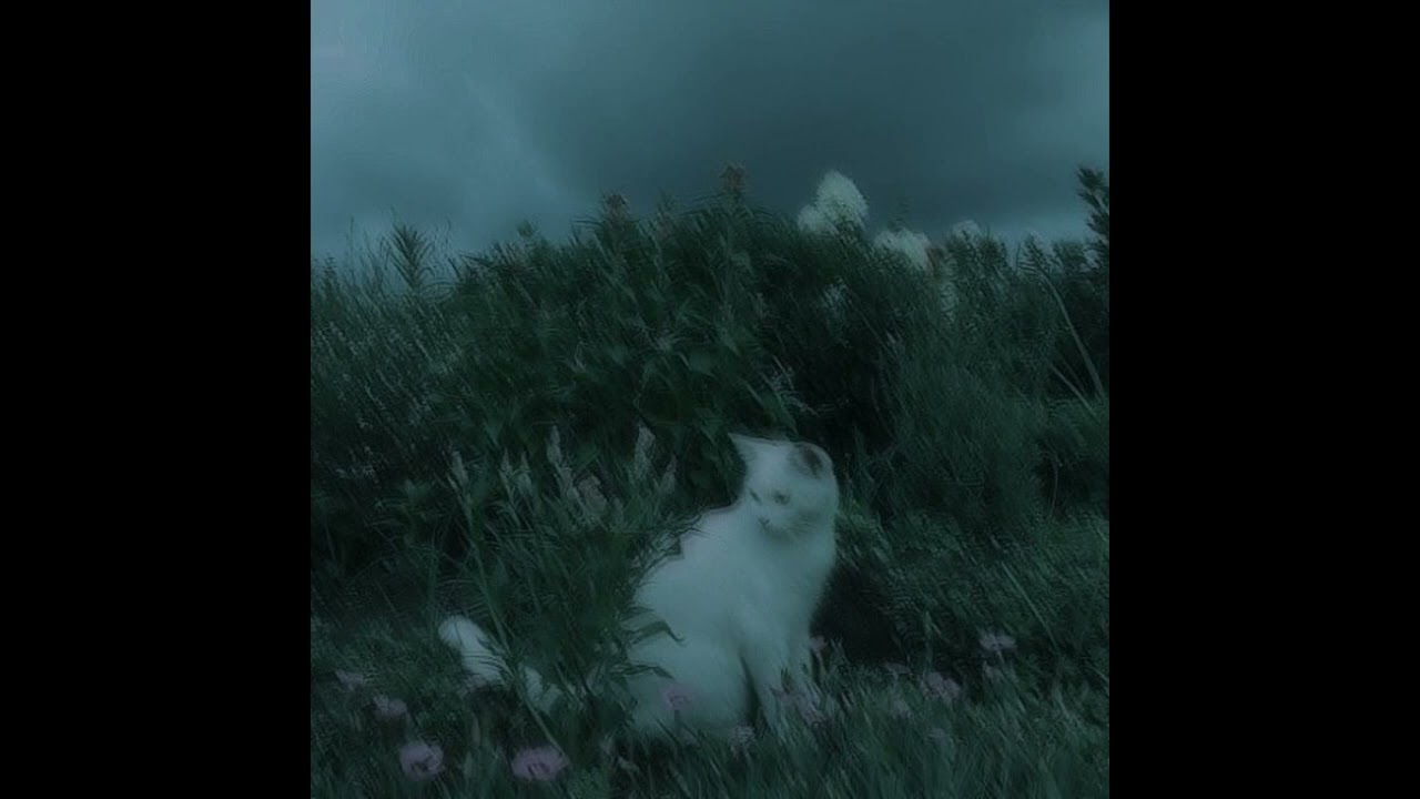 {FREE} ucyll & ryo + lovemusic + ambient type beat 