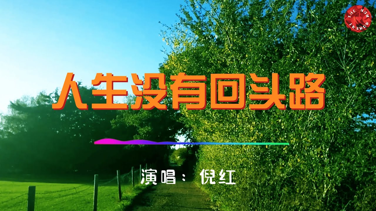 💖人生没有回头路(男版) - 倪红💖高音質動態歌詞 Pinyin Lyrics 華語抖音神曲 新歌推薦👍The Now Moment
