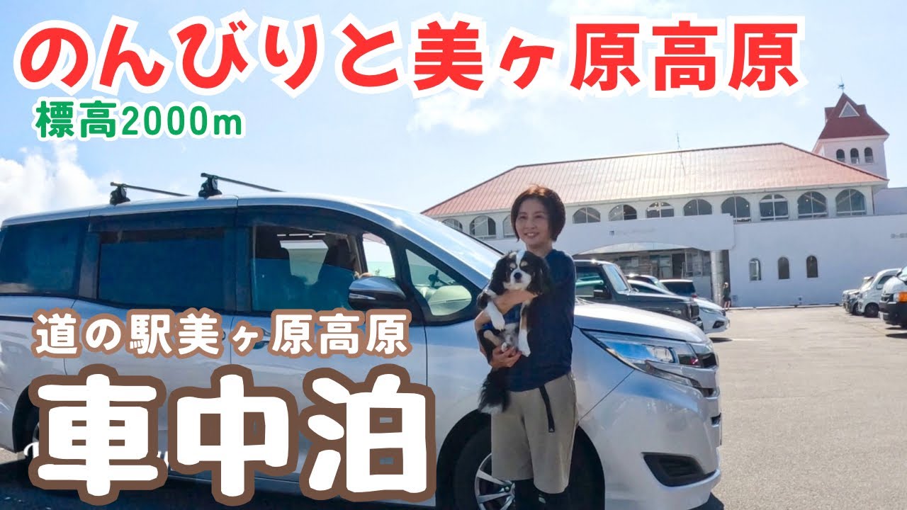 車中泊エリアができた道の駅美ヶ原高原で50代看護師が愛犬と車中泊。