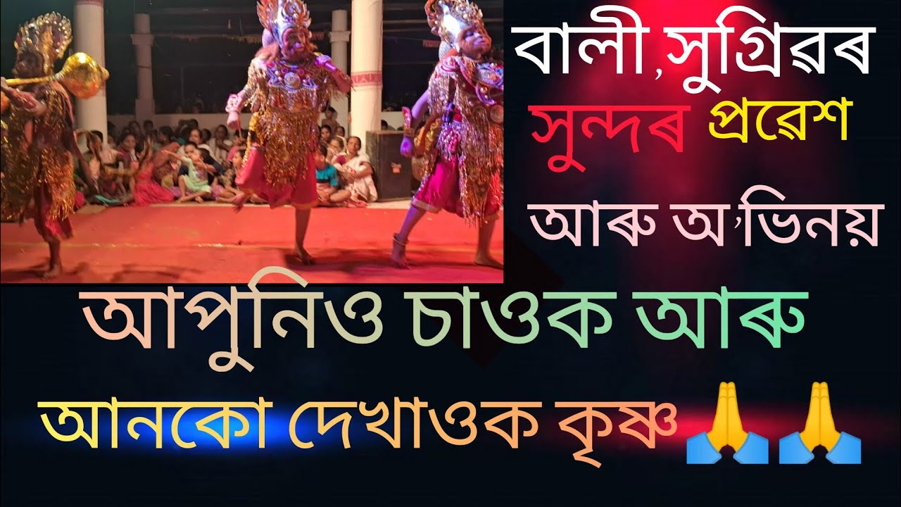Assamese vauna//Bali,Hugrib,Aru copygonor hundor probekh aru ovinoy.❤️❤️❤️