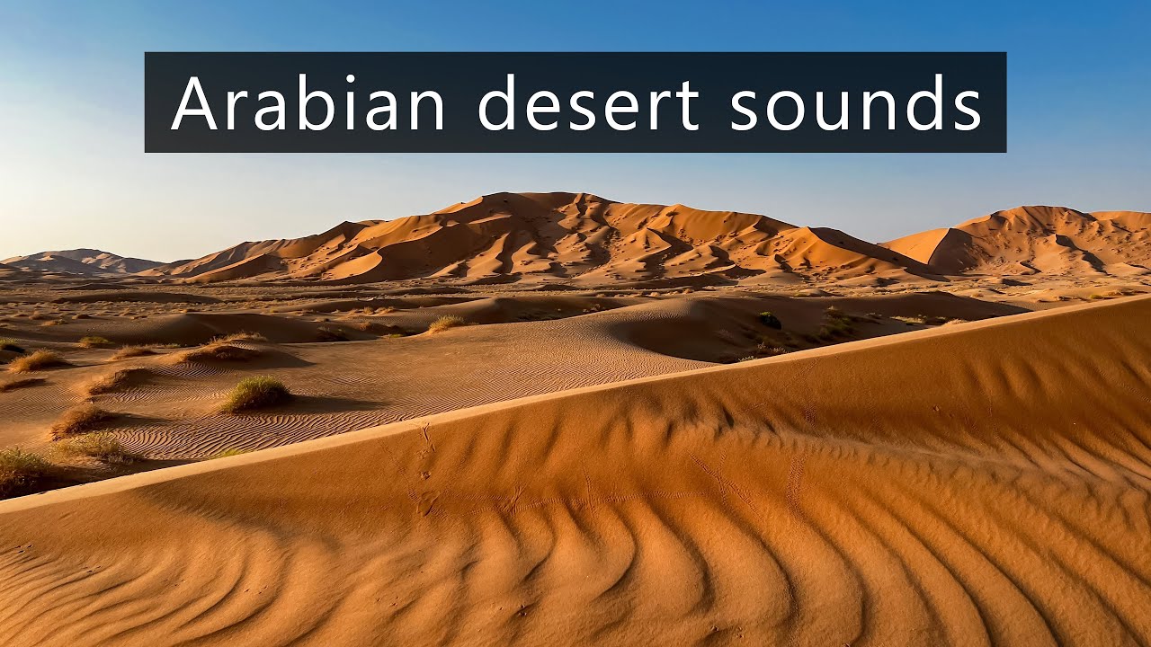 Arabian Desert sound effects library - Wind in the sand dunes