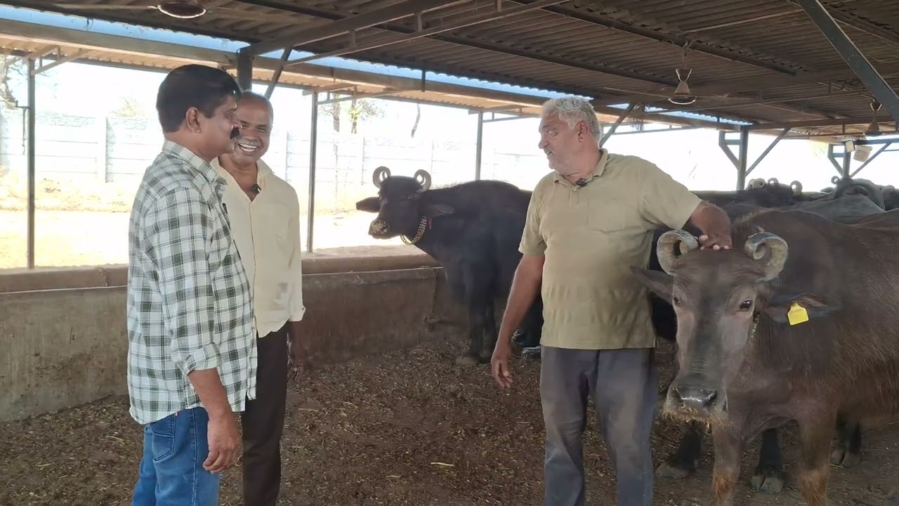 ഗുജറാത്ത് യാത്ര - PART 4, ગુજરાત પ્રવાસ - PART 4