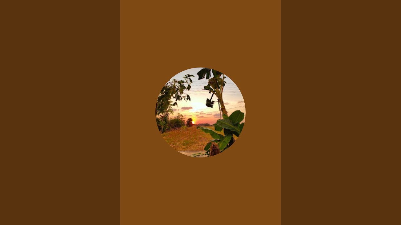 BernsJourney is live