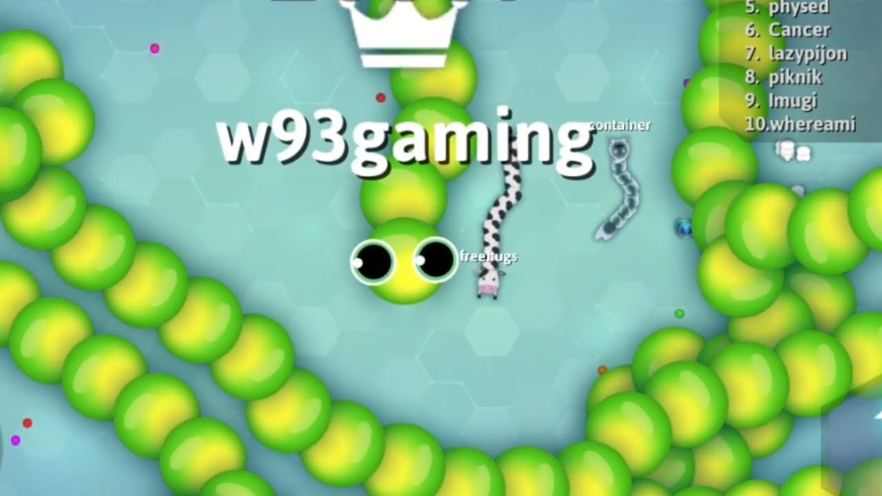 Snake.io | snakes of prey |  Game of worms |  game worm #24