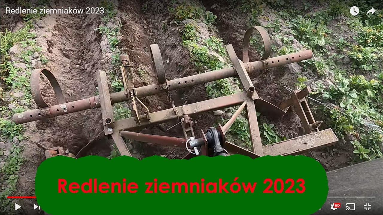 Redlenie ziemniaków 2023