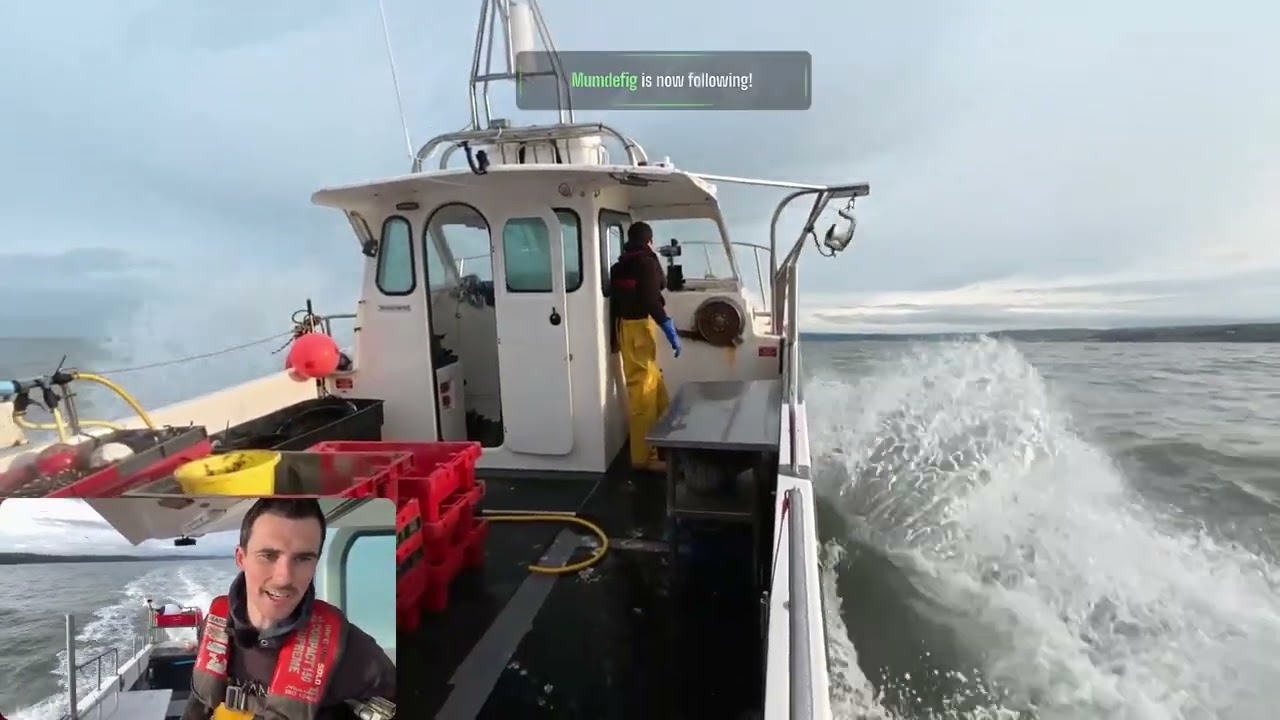 🌊 New Camera vs The Sea | Chasing Prawns 🦐🦐 New Commands !about !boat !discord !location !g