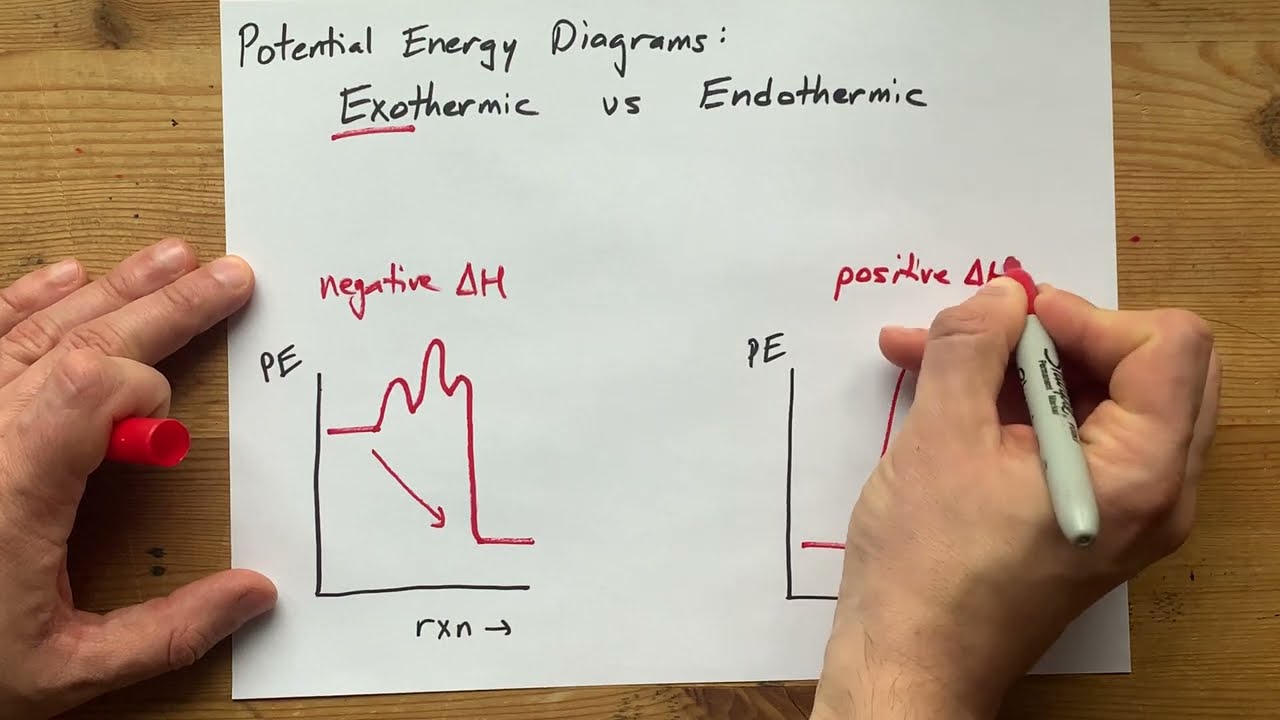 Potential Energy Diagrams: Exothermic vs Endothermic
