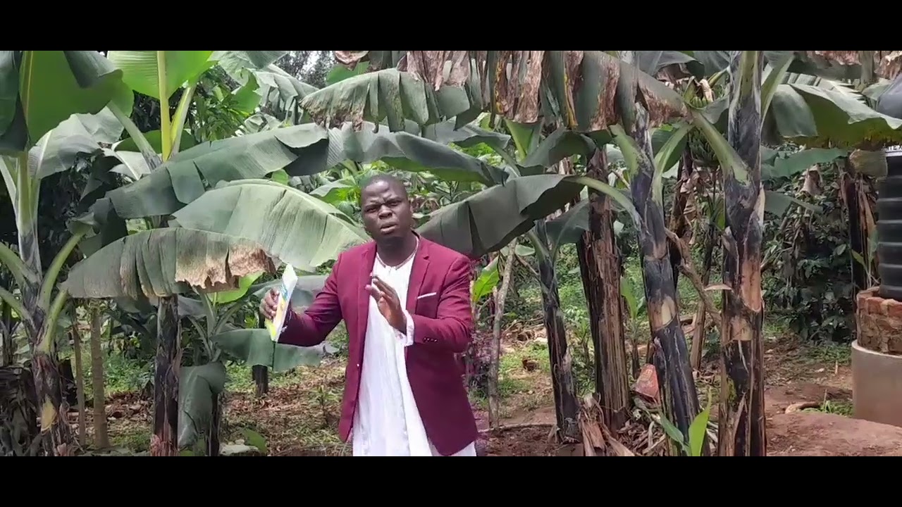 ENO YE NSONGA EREETERA OMUJJWA OKULINNYA MU MMERE, KU MUKOLO GWOKUMALA ABALONGO. 
