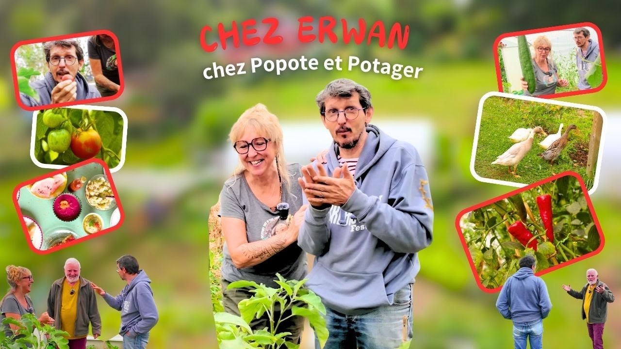 CHEZ ERWAN CHEZ POPOTE ET POTAGER