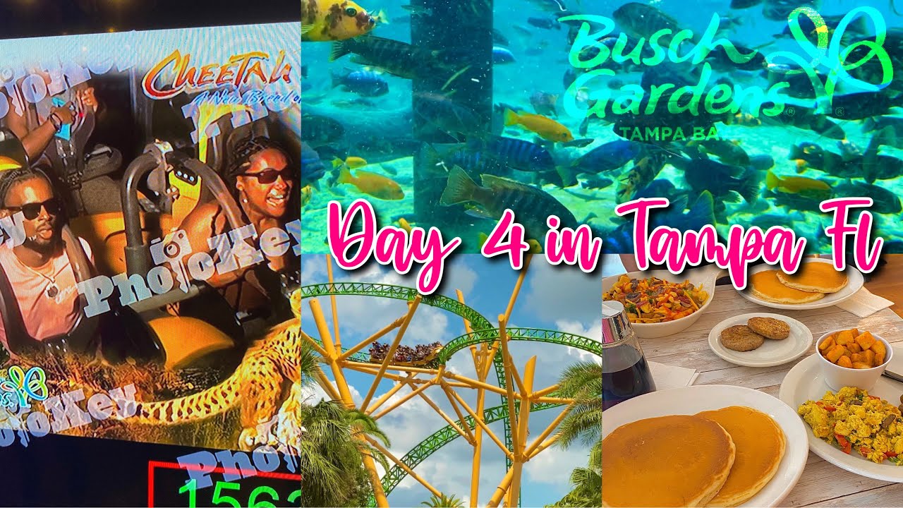 Its a MUST that you watch this before visiting Busch Gardens Tampa 🎢 | Day 4 Vlog 🎥🔥