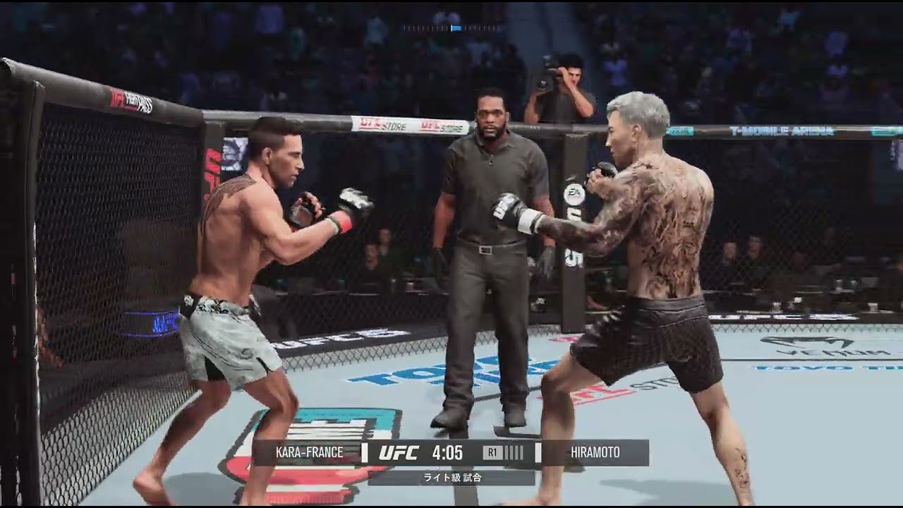 EA SPORTS UFC 5 &mdash; Кай Кара Франс против Рена Хирамото