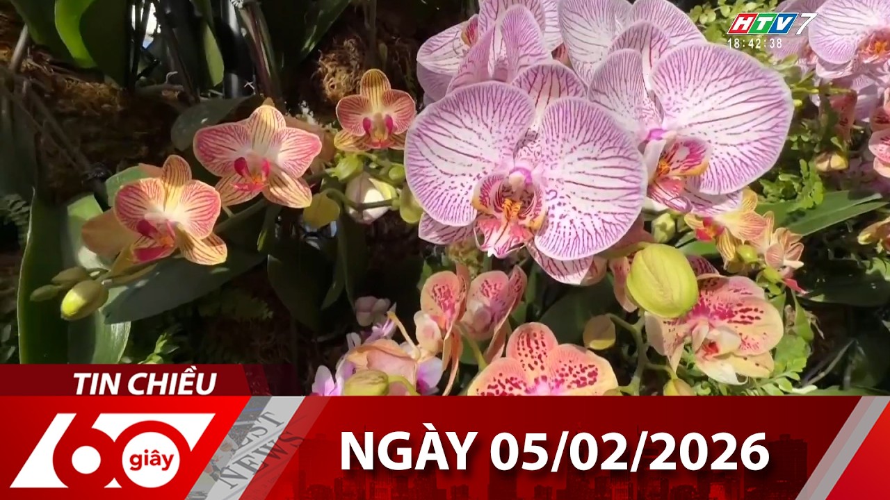 60 Giây Chiều - Ngày 05/02/2026 - HTV Tin Tức Mới Nhất 2026