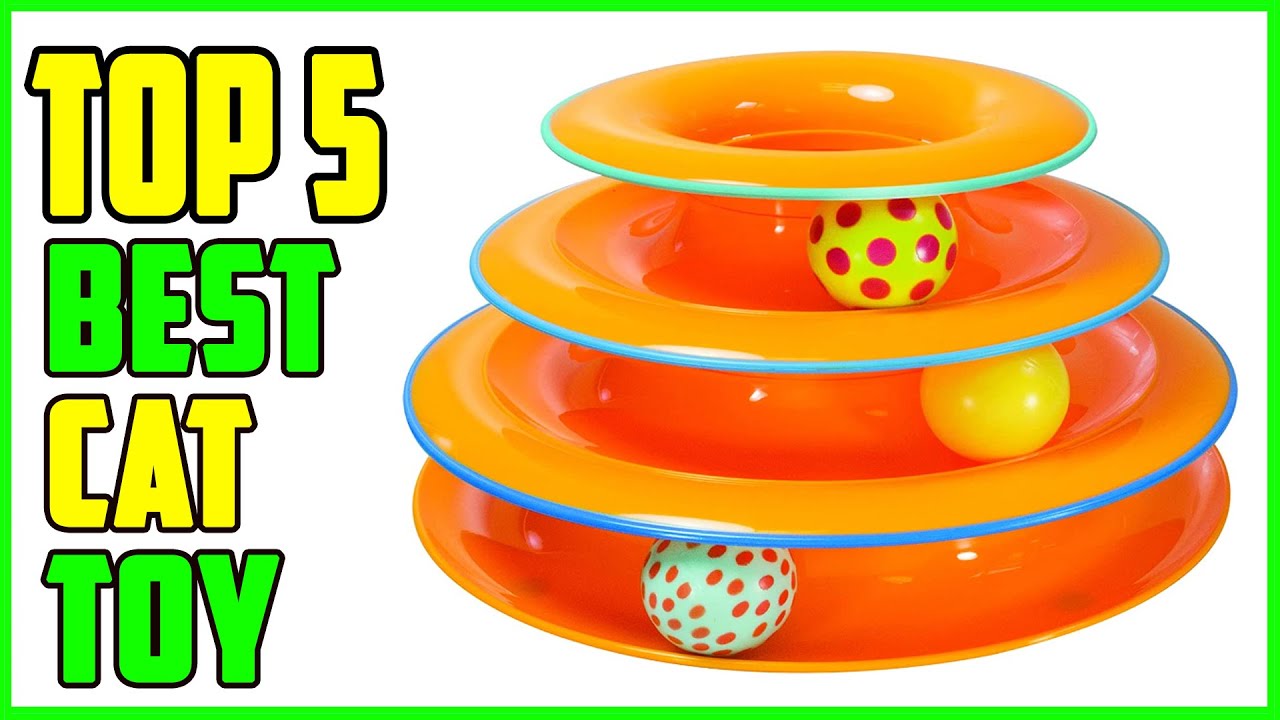 TOP 5 Best Cat Toy On Amazon 2026