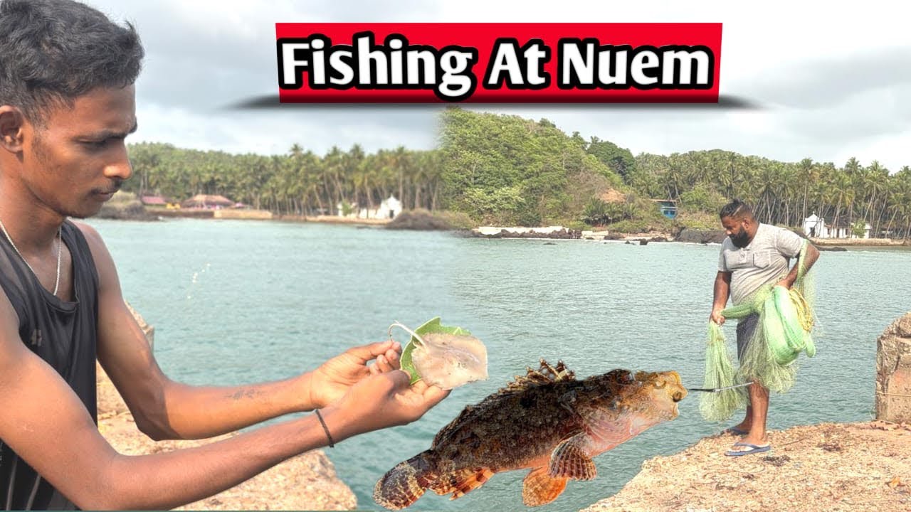 Fishing at Nuem | We Release Small Stingray | Goa Fishing Vlog #vlog