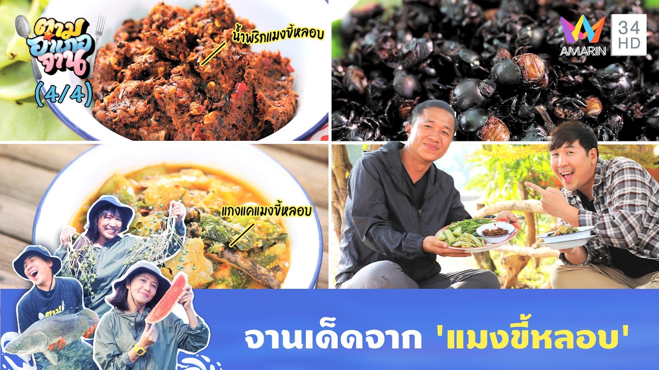 มันอร่อยมาก จานเด็ดจาก 'แมงขี้หลอบ' | ตามอำเภอจาน | 10 มี.ค. 69 (4/4)