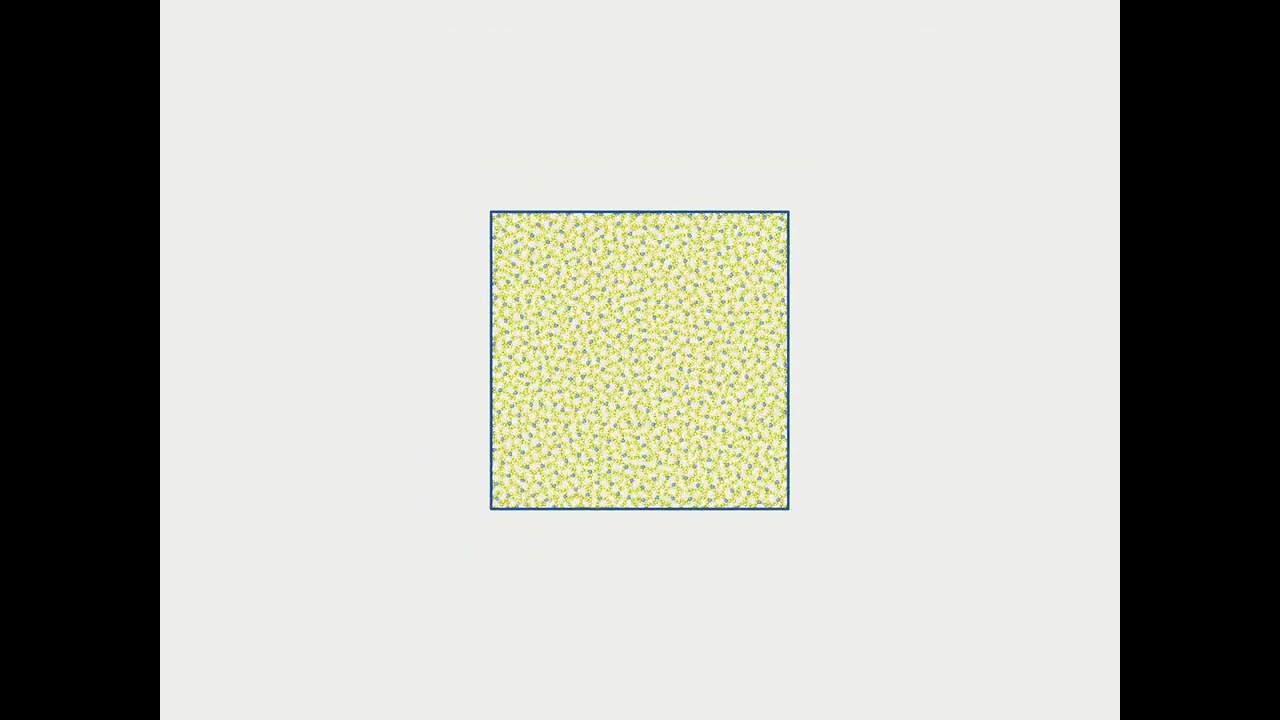 Linked core-corona particles Self-Assembly : Labyrinth II