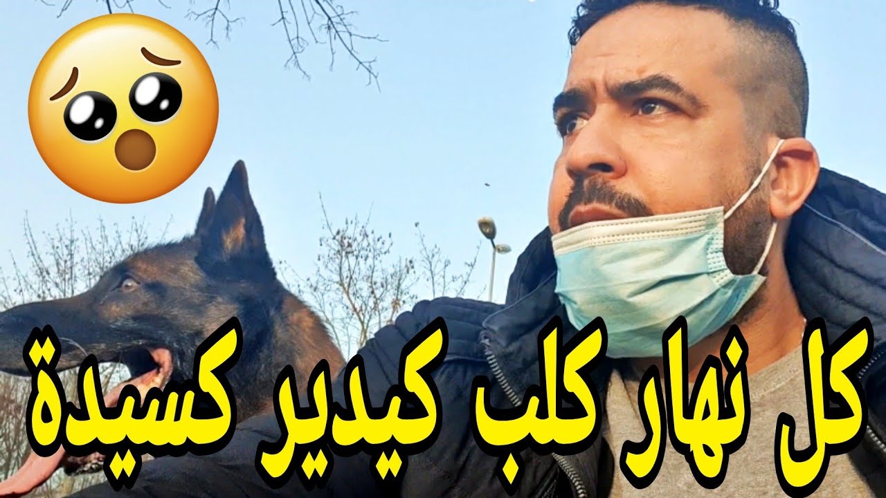 الحل ديال اكثر حاجة كتعصبك في كلبك