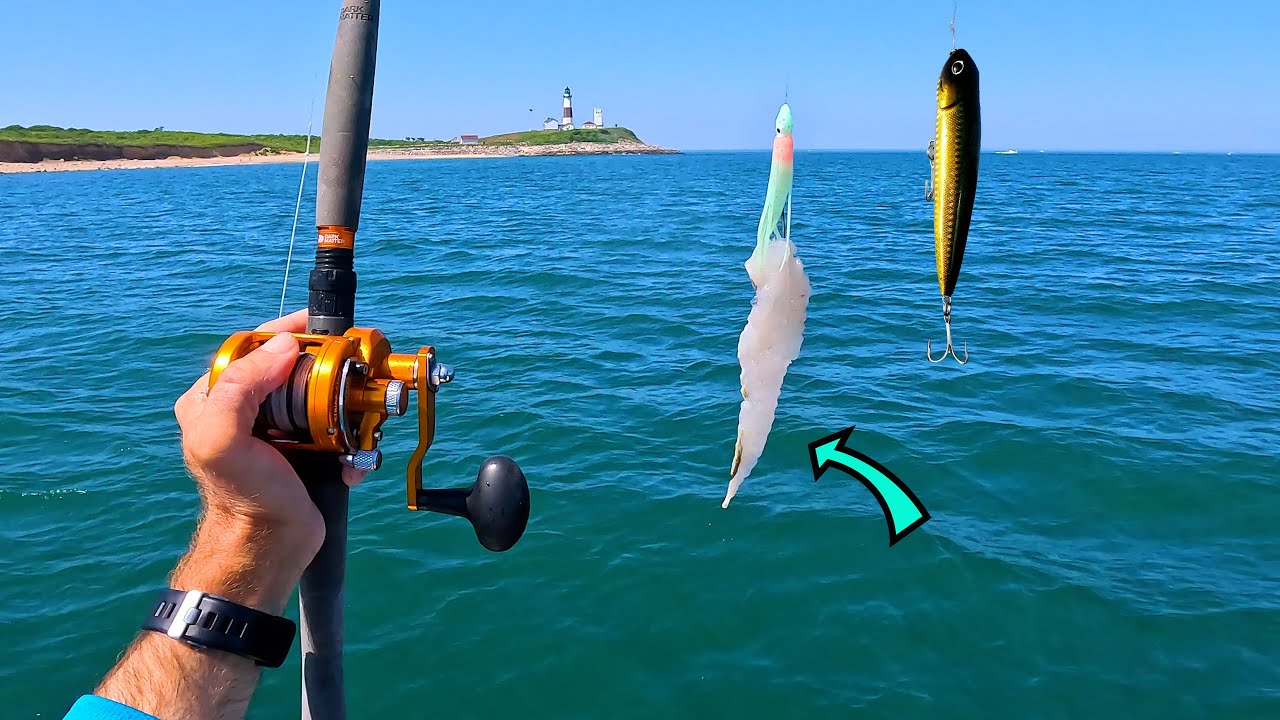 CUT Bait and Topwater Two Days Fluke/Flounder Fishing - Quest for a Double Digit Fluke!!