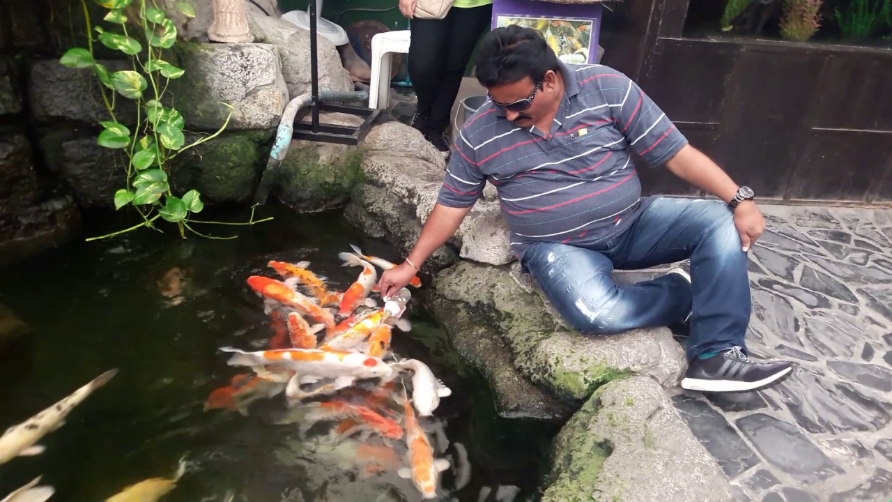 PEDAPARIMI CHOWDARY YOUTH(2)