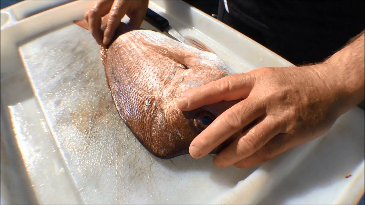 Как чистить люциана | The Hook and The Cook