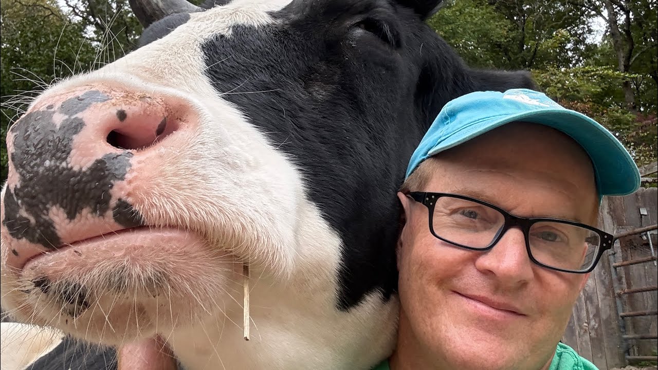 Life With Pigs Farm Animal Sanctuary is live!