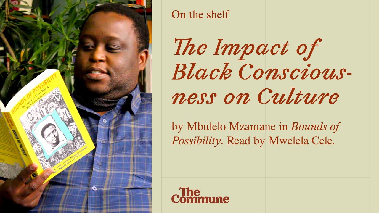 On the shelf: Mbulelo Mzamane read by Mwelela Cele