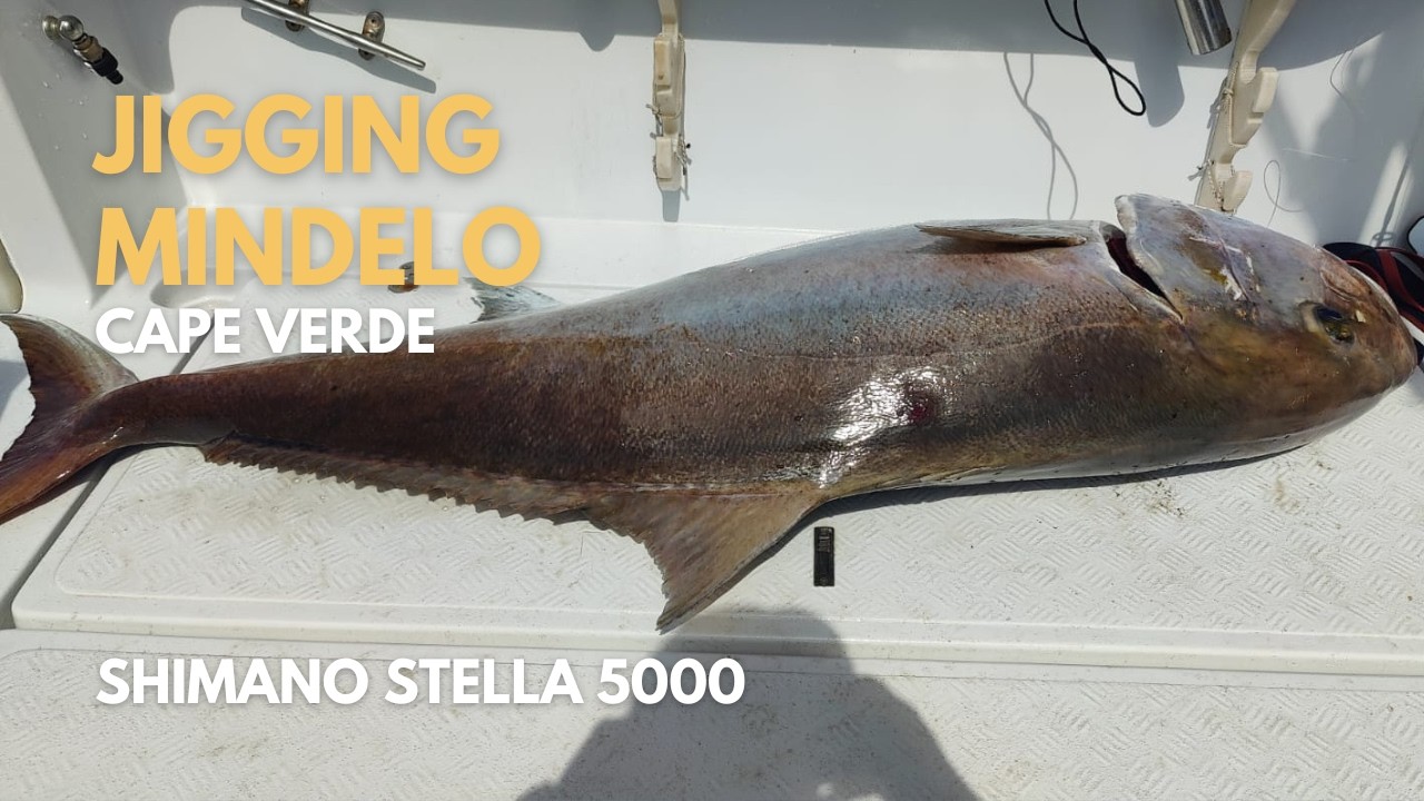 Jigging with friends in Mindelo São Vicente june 2025